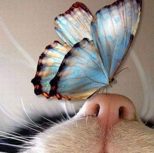 Meet your Posher, Ruth